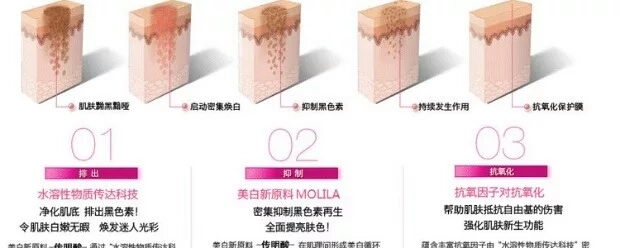 美肌15.jpg